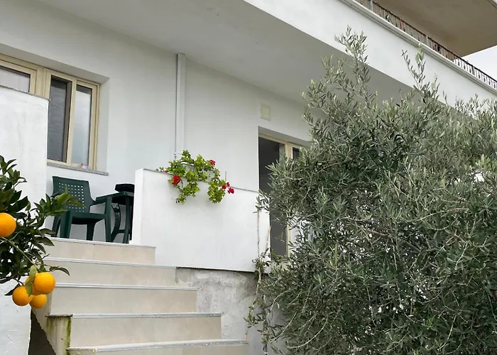 Fabio And Orhana Vlorë